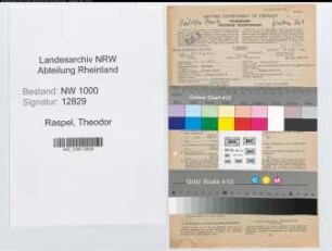 Entnazifizierung Theodor Raspel, geb. 11.04.1902 (Kassierer)