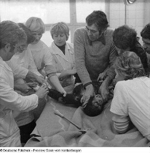 Tierklinik