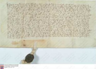 Nidda: Hartmann Grossejohann und seine Hausfrau Gele kaufen von Junggraf Gottfried v. Ziegenhain und seiner Hausfrau Agnes 40 Pfund Heller Geldes ...