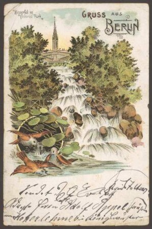 Ansichtskarte Wasserfall im Viktoriapark mit drei Vögeln, koloriert