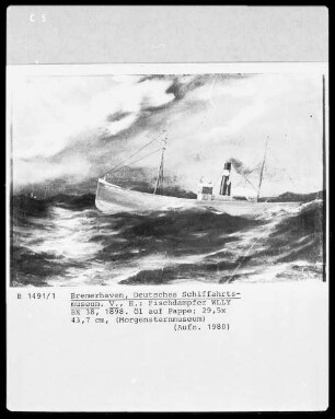 Fischdampfer "Willy BX 38"