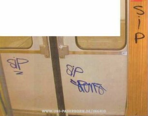 SiP Sponz