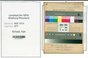 Entnazifizierung Karl Schaub , geb. 24.08.1876 (Dachdecker)