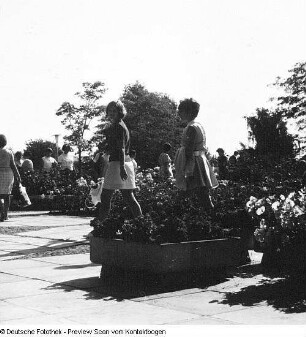 Internationale Gartenbau-Ausstellung (IGA)