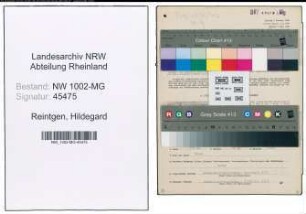 Entnazifizierung Hildegard Reintgen , geb. 24.07.1906 (Dolmetscherin)