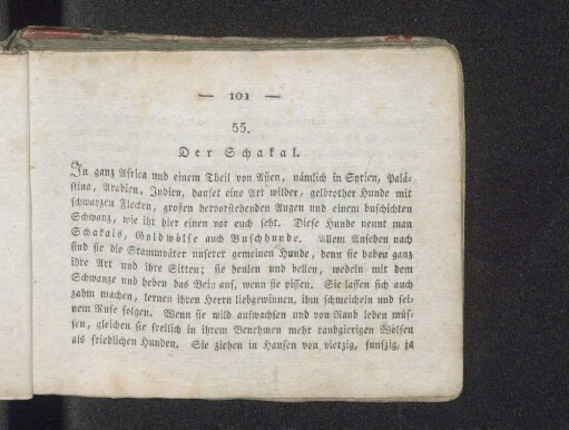 55. Der Schakal.