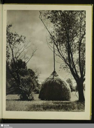 Heuschober
