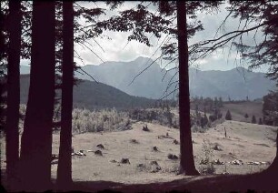Karpaten: Rosenauer Wiese, Hintergrund Königstein
