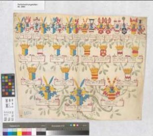 Proband: Plettenberg, Friedrich Mauritz von; Vater: Plettenberg, Bernhard von; Mutter: Fürstenberg, Odilia von: Münster, Domkapitel