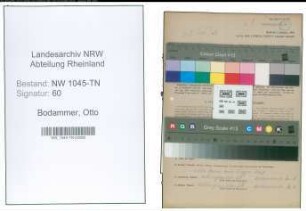 Entnazifizierung Otto Bodammer , geb. 23.08.1893 (Strassenbahnfahrer)