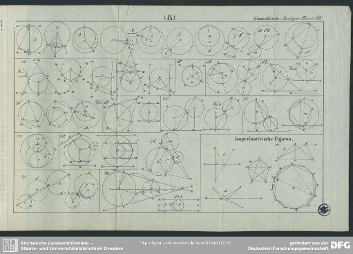 Geometrische Analysis Buch III