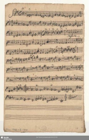 [Violone/Fagotto]