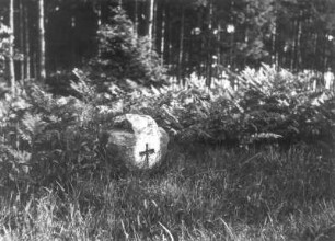 Steinkreuz : Gohrisch, Steinkreuz mit eingehauenem griechischem Kreuz am Waldrand am Pladerbergweg