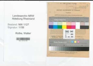 Entnazifizierung Walter Rothe , geb. 21.12.1902 (Kaufmaennischer Angestellter)