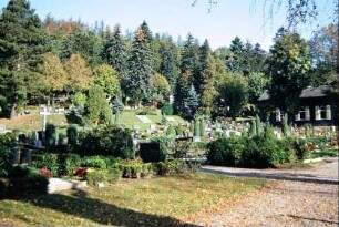 Friedhof am Waldrand