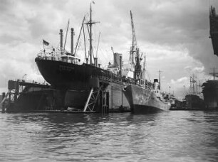 Hafen mit MS Bieberstein