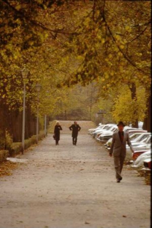 Allee, Detmold; farbig