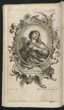 Magnificat Anima mea Dominum
