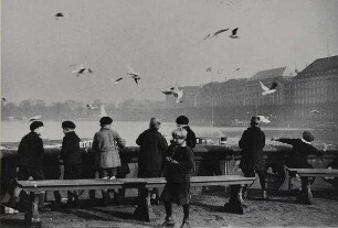 Kinder füttern Möwen an der Binnenalster
