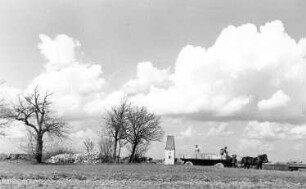 Waldhufen-Nieder Seifersdorf. Blick vom Windmühlenberg auf Nieder Seifersdorf