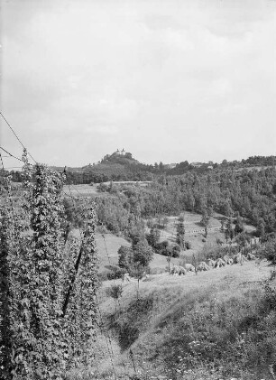 Auscha. Hopfenfelder am Kapellenberg bei Auscha