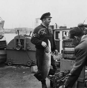 Fischereigenossenschaft Stralsund (FGS). Fischer auf dem Kutter "Hein Dornquast"