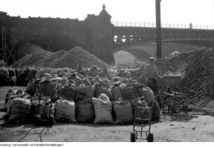 Dresden, Neustädter Hafen. Kommunaler Großhandelsbetrieb, Absacken von Kartoffeln für die Einkellerung, Herbst 1956