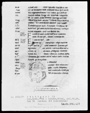 Bibel — Initiale E (t descendens), Folio 36 recto