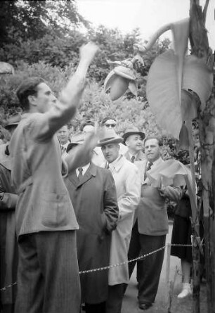Mainau, Insel Mainau: Gruppe bei der Führung auf der Mainau