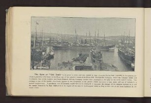 The Open, or Tidal Dock - ...
