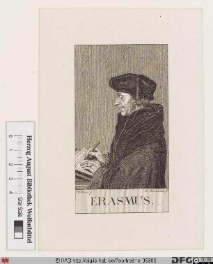 Bildnis Desiderius Erasmus, gen. Erasmus von Rotterdam