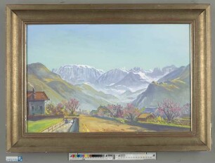 Alpenpanorama im Frühling
