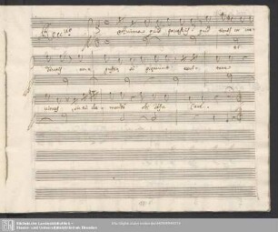 Recitativo: Anima quid pavescis