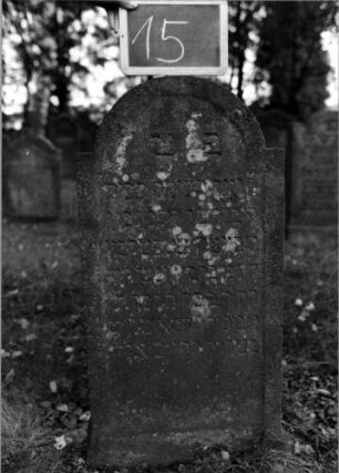 Grabstein 15 (Index: 100111033) Material: Sandstein Zustand: leicht verwittert Maße HxBxT: 100x50x11 cm Beschreibung: Stele, eingezogener Rundbogenabschluß, Schriftfeld eingetieft Besonderheit: Kindergrab: Grabstein 15