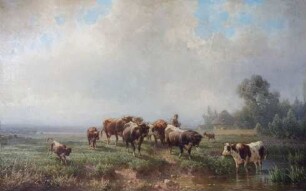 Kuhherde auf der Weide