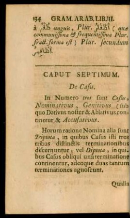 Caput Septimum. De Casu.