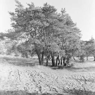 Landschaft um Christianstadt am Bober. : Krajina wokoło Krzystkowice při Bobru, měšćanski dźěl města Nowogród Bobrzański.