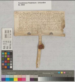 Graf Enno von Ostfriesland und Rietberg läßt Tryne zum Hanenbrincke, Tochter Helmichs von Hanenbrincke und der Gertrud aus der Grafschaft Rietberg, frei. SA des Ausstellers