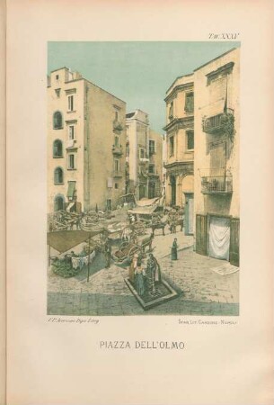 Tav. XXXV. Piazza dell'Olmo