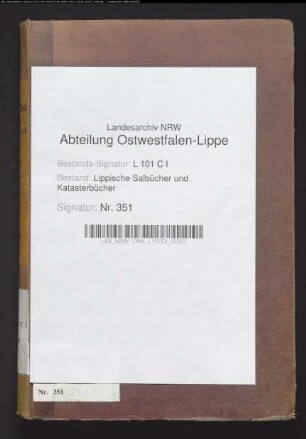 Salbuch der Stadt Lemgo von 1861, Bd. 8 (Duplikat)
