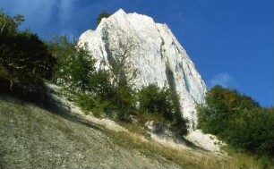 Rügen - Königsstuhl : Kreidefelsen Königsstuhl auf der Insel Rügen. Aufgenommen 2001