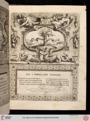 Nr. 36: Signor Girolamo Fabiano