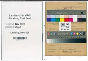 Entnazifizierung Heinrich Lieneke , geb. 15.03.1913 (Landwirt)