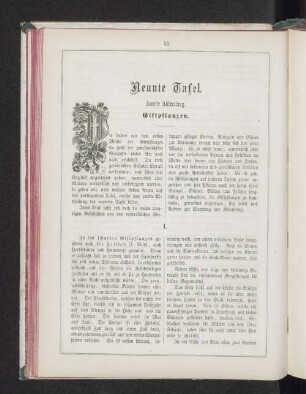 Neunte Tafel. Zweite Abtheilung.