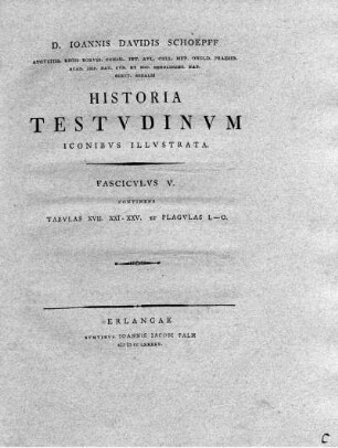 Tab. XVII. Testudo Imbricata. Testudo Mydas. Testudo Caretta.