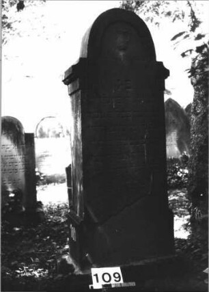 Grabstein 109 (Index: 100085523) Maße HxBxT: 147x56x25 cm Beschreibung: Stele, Sockel, eingezogener Rundbogenabschluß Symbolik: Levitenkanne: Grabstein 109