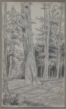Unidentifizierter Ort: Waldweg Skizzenbuch Ernst Morgenstern, Beilage)