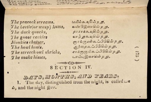 175 - 179, Section IV