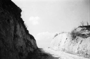 Munzingen: Wegschneise am Tuniberg