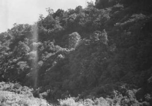 Hangvegetation bei der Radiostation Malabar : Bergige Landschaft mit Vegetation